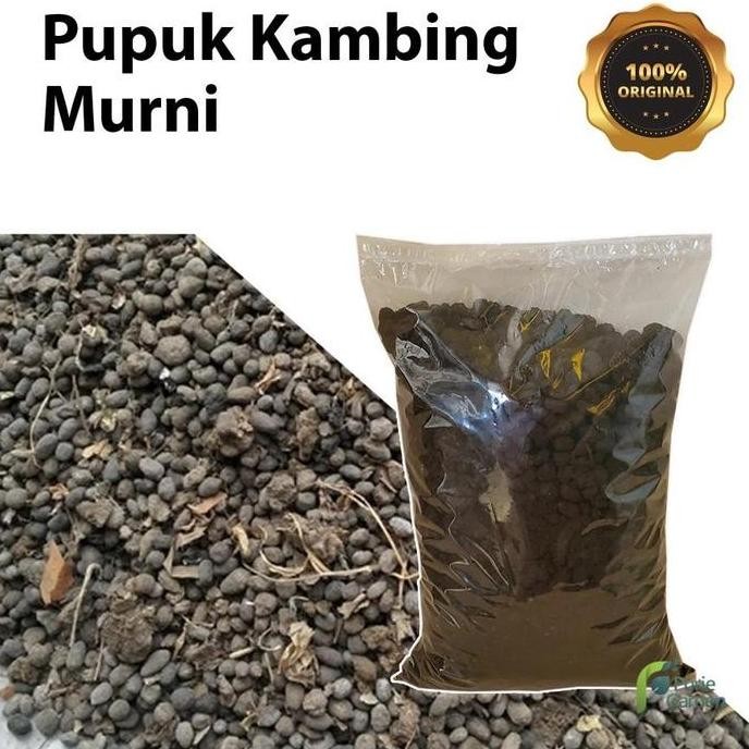 

Terlaris // Pupuk Kandang Kotoran Kambing Murni 1Kg Purie Garden //