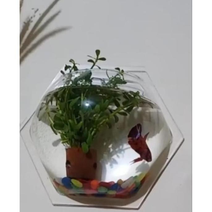 

Terlaris Terlaris Hiasan Dinding Aquarium Dinding Bentuk Hexagonal Modern Hiasan Ruangan