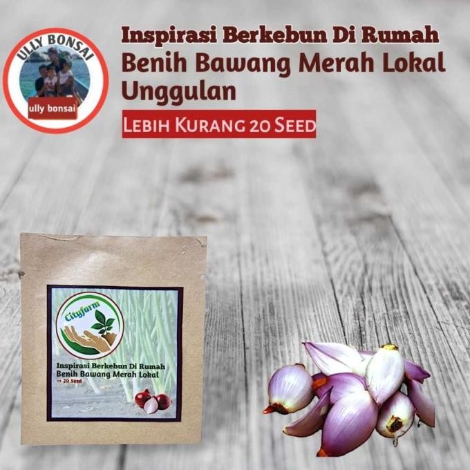 

Terlaris Bibit Bawang Merah Lokal Unggulan Bibit Unggul