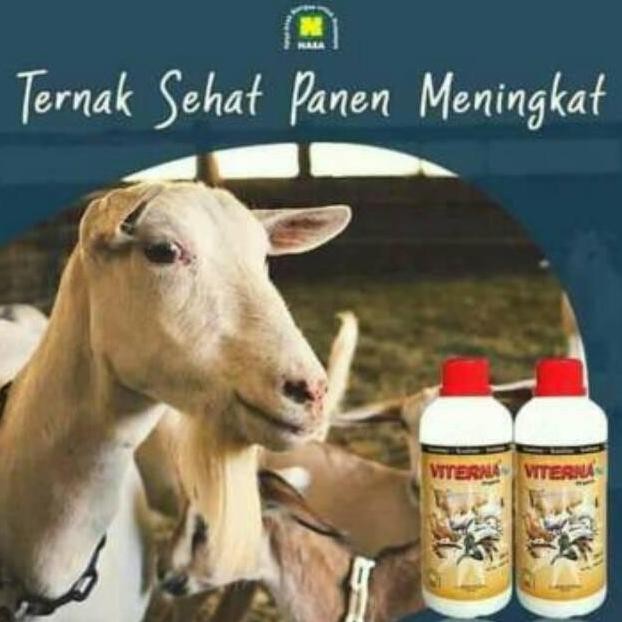 

Terlaris Viterna Plus, Vitamin Nasa, Vitamin Ternak, Penggemuk Ternak Dan Ikan, Udang Dll