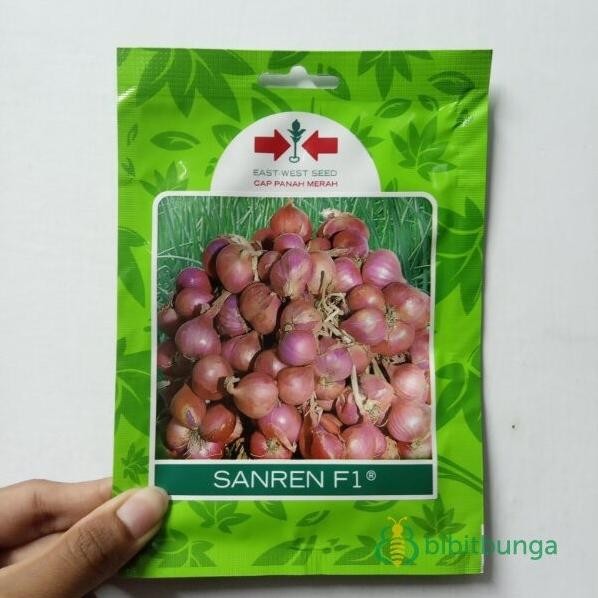 

Terlaris Benih Bibit Bawang Merah Sanren F1 800 Biji Tanaman Cap Panah Merah