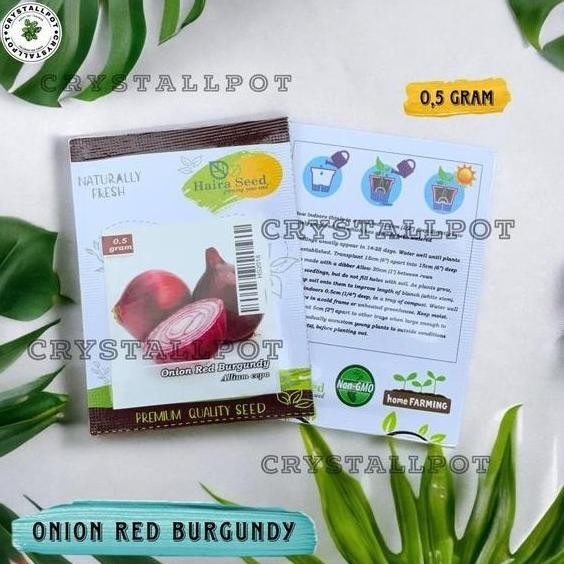 

Terlaris Bibit Benih Unggul Bawang Merah Red Burgundy Haira Seed Bawang Merah Red Burgundy