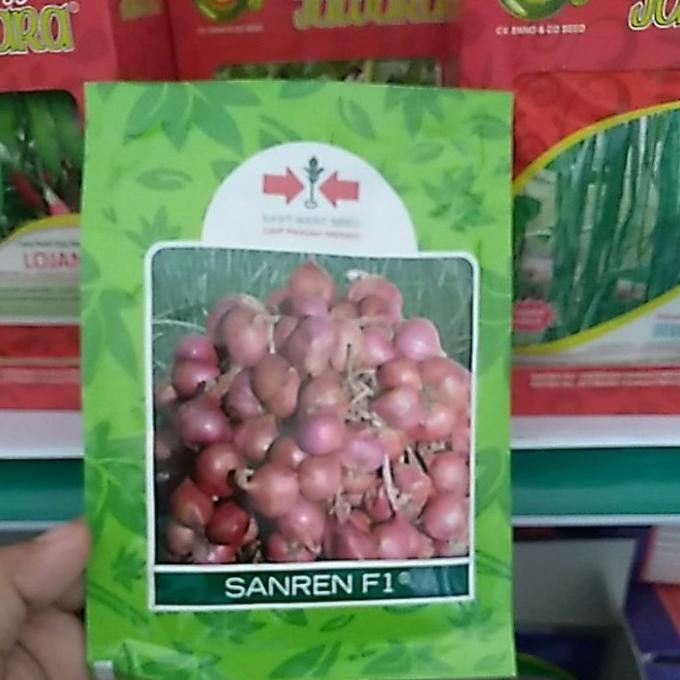 

Terlaris Benih Bawang Merah Sanren F1 10G Bibit Bawang Merah