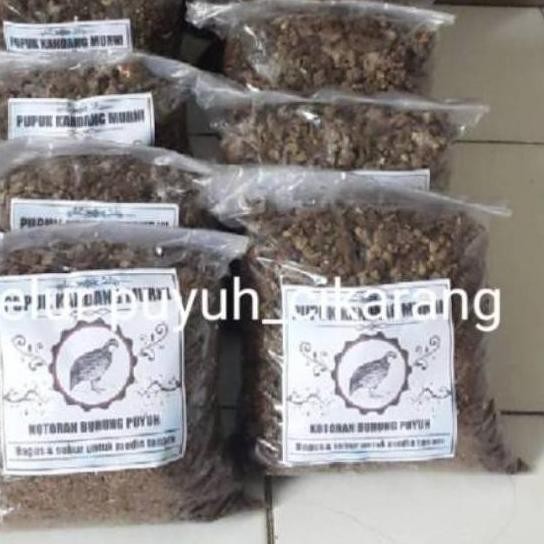 

Terlaris Big 2 Kg Pupuk Kandang Kotoran Puyuh Murni Nnupbq 8837Jh