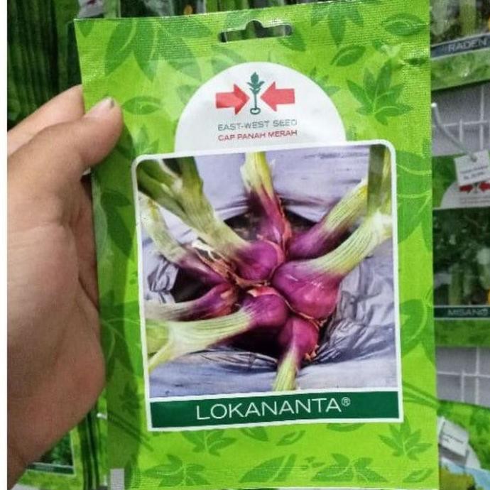 

Terlaris Benih Bibit Bawang Merah Lokananta Isi 800 Biji Cap Pana Kigpro 9142Jv