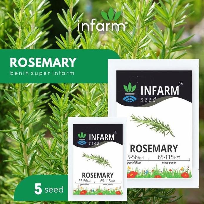 

Terlaris Benih Bibit Biji Herbal Rosemary