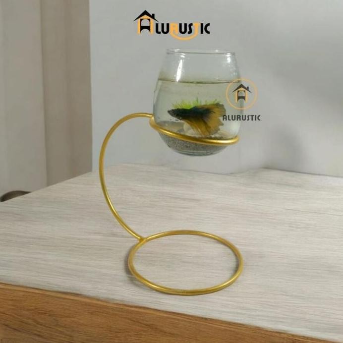 Terlaris Akuarium Mini Ikan Estetik Gold / Aquarium Ikan Cupang Guppy / Aquascape / Hiasan Meja Tana