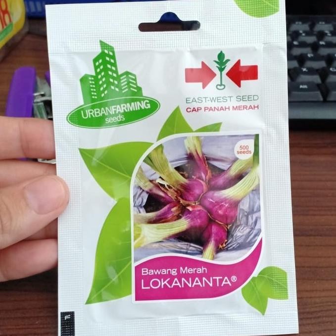 

Terlaris Uf - Benih Bawang Merah Lokananta Isi 500 Biji - Bibit Bawang Merah -