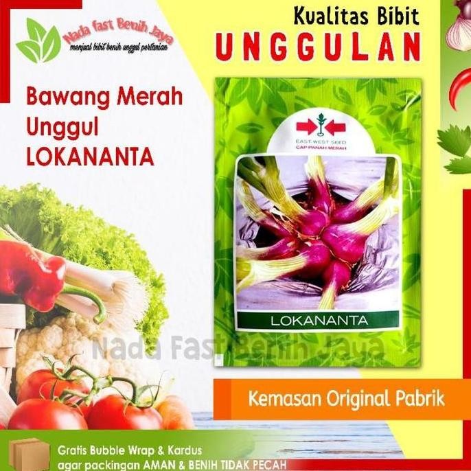 

Terlaris Bibit Sayuran Benih Sayuran Bawang Merah Lokananta 50 Gram