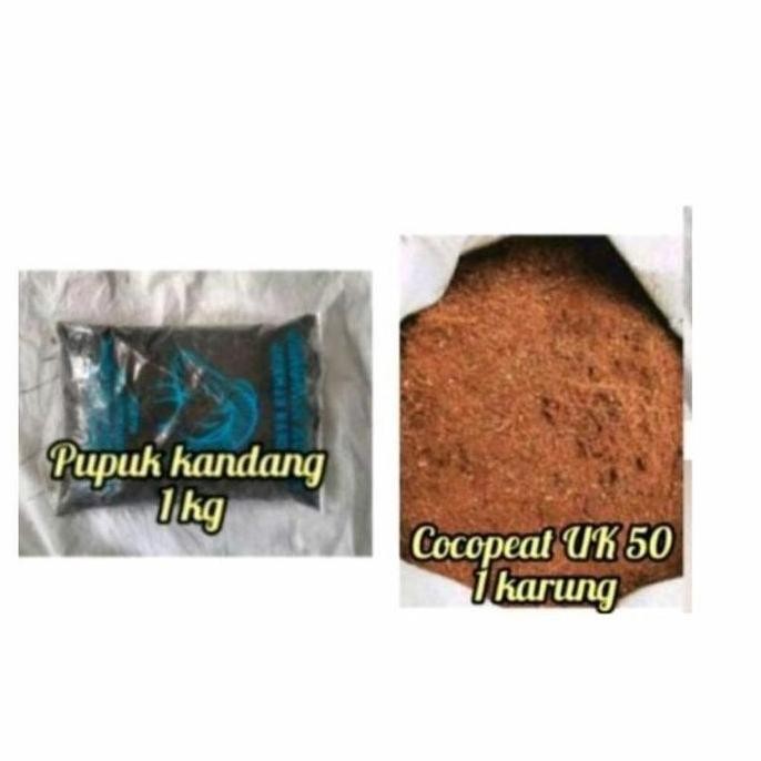 

Terlaris Terbaru Ready / / Paket Cocopeat Uk 50 +1 Kg Pupuk Kandang