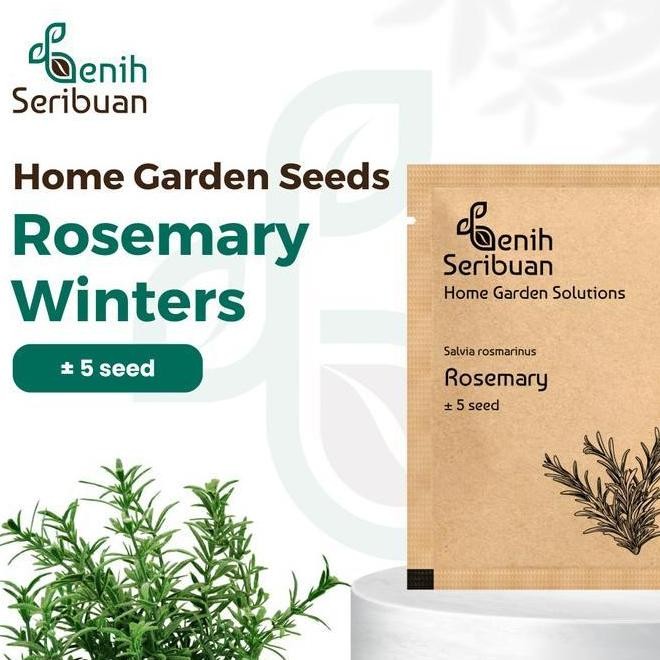 

Terlaris Benih Seribuan Bibit Rosemary Heirloom Tanaman Herb Premium