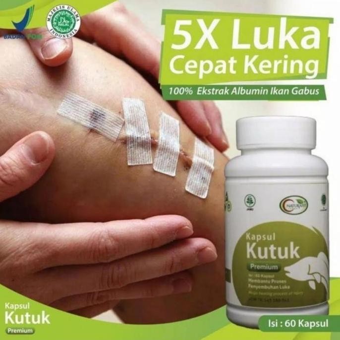 

Terlaris Kapsul Kutuk Premium Albumin Ikan Gabus Obat Vitamin Pasca Operasi