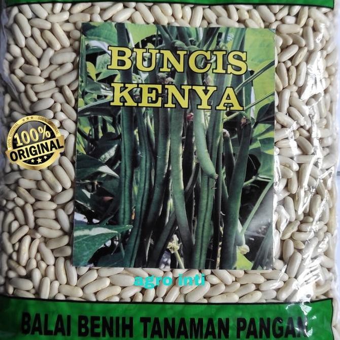 

|| BANANA / benih buncis baby KENYA buncis Prancis isi 1 kg ||~~~