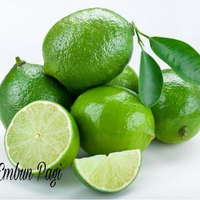 

Terlaris Bibit Pohon Jeruk Nipis