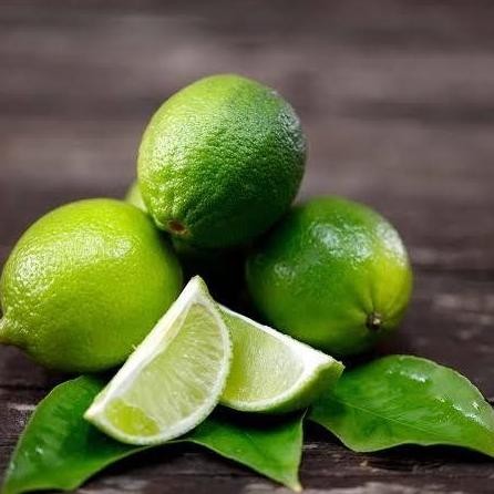 

Terlaris Bibit Benih Jeruk Nipis Berbuah 1,3