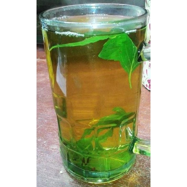 

Terlaris Bibit Tanaman Peppermint, Daun Mint, Menthol Naabbm 4779Dp