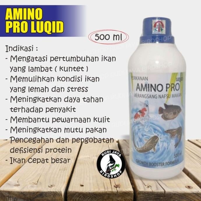 

Terlaris Amino Pro Luqid 500 Ml Obat Vitamin Ikan Dengan Asam Amino Penambah Nafsu Makan Ikan Penggemuk Ikan Anti Stres Mengurangi Kematian Distributor Dijamin Asli Tamasindo New