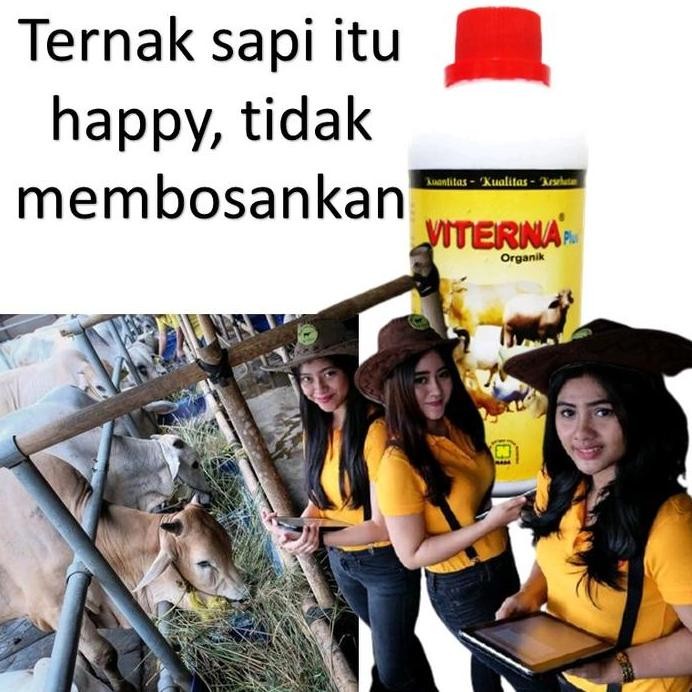 

Terlaris Vitamin Ternak Alami / Viterna Plus / Vitamin Ternak Dan Ikan Original / Bpom / Produk Terbaik Untuk Ternak / Nasa Pusat / Nasa Herbal / Nasa Herbal Alami Bayar Di Tempat
