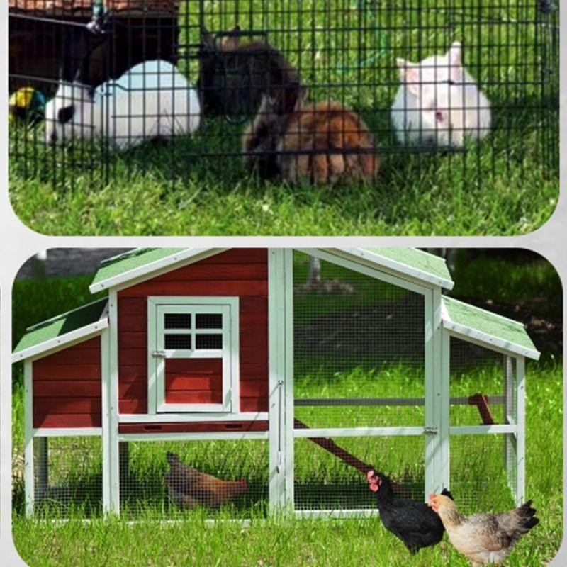 Jaring Kawat Plastik 25M Jaring Pagar Ayam Plastik Kawat Pagar Jaring Kandang Ayam