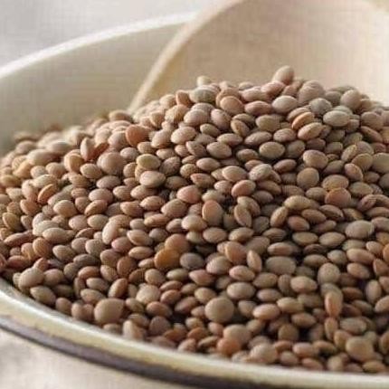 

>>>>>] Brown Lentil 100gram / Lentil Cokelat / Lentil Coklat
