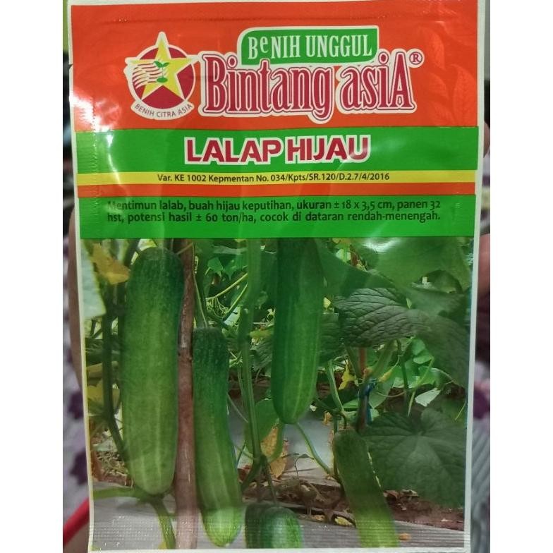 Benih Timun LALAP HIJAU 20 Gram Bintang Asia