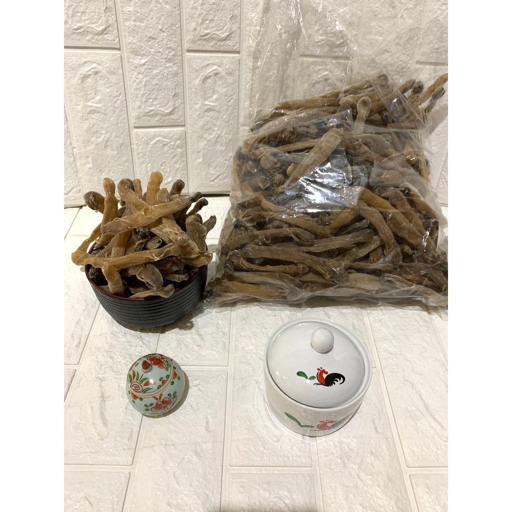 Cacing Laut Kering Hq 100Gram 100 Gram Kualitas Bagus Makanan Laut Seafood