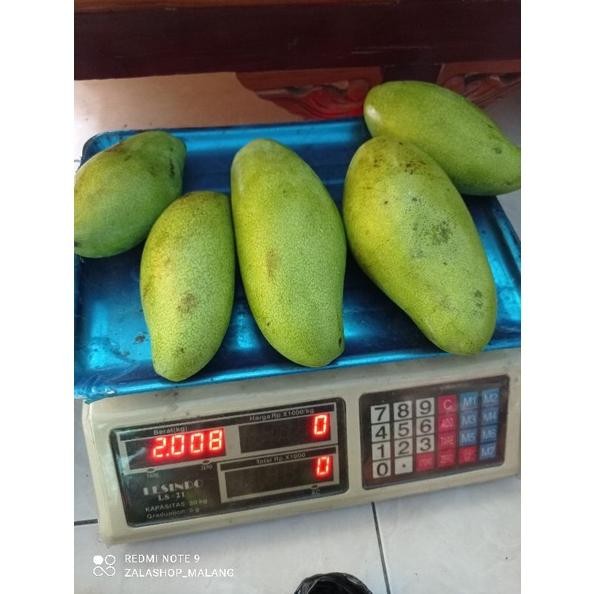 

Wajib Miliki 1Kg Pencit Fresh Kriuk Jual Buah Mangga Muda Malang Murah Gratis Ongkir