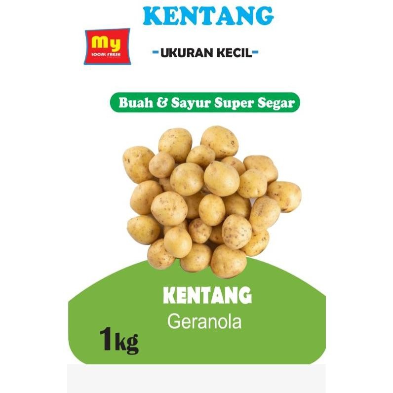 

Fungsi Kentang Segar [ Ukuran Kecil ] 1 Kg