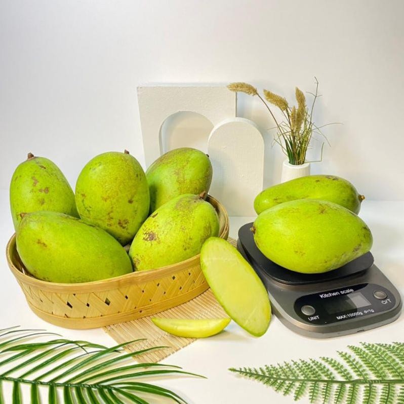 

Keunggulan Mangga Muda Rujak Super 1 Kg | Buah Segar Fresh