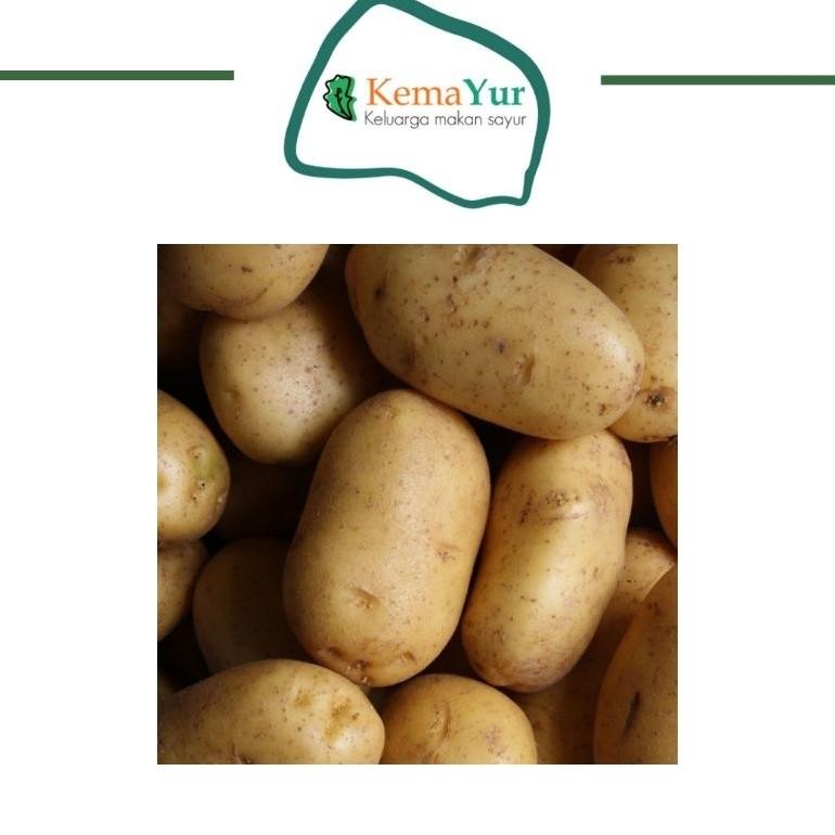 

Trendi Kentang 500Gr Sedang Dan Besar