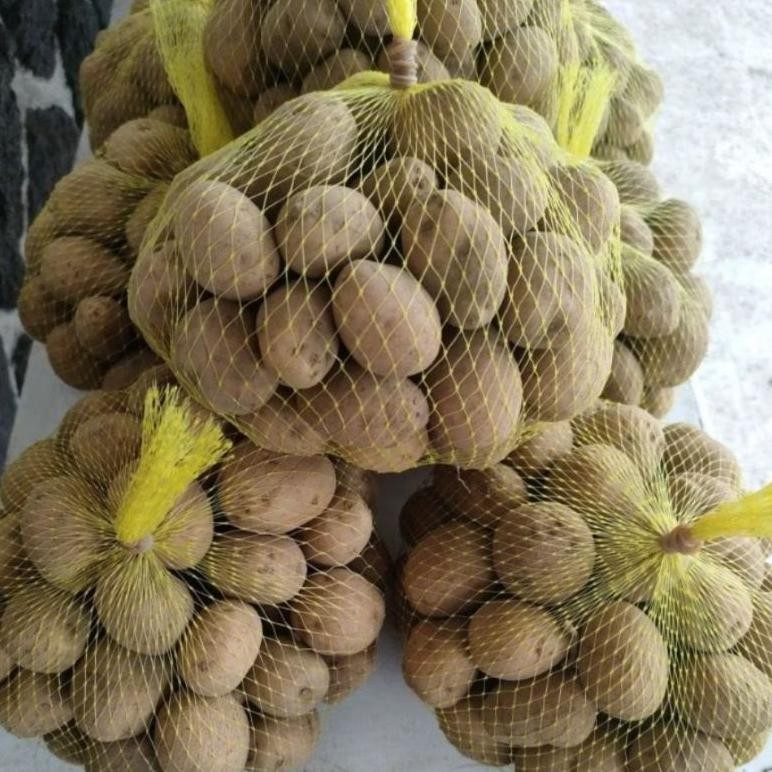 

Sempurna Kentang Dieng Mini Kecil 1Kg Isi Lebih Banyak Kualitas Sama Cocok Untuk Diet