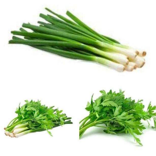 

Garansi Daun Bawang Seledri/Daun Bawang /Daun Seledri Daun Sop 100 Gram