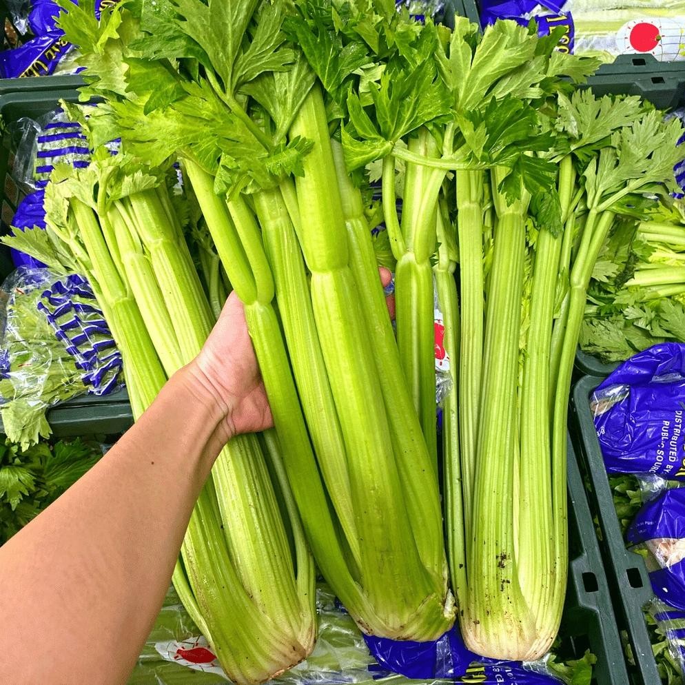 

Revolusioner Celery Stick / Seledri Stick / Batang Seledri Import 1Kg
