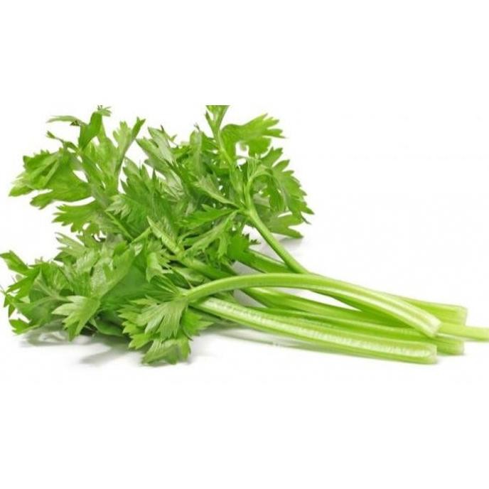 

Cocok Daun Sop / Seledri Per Ons