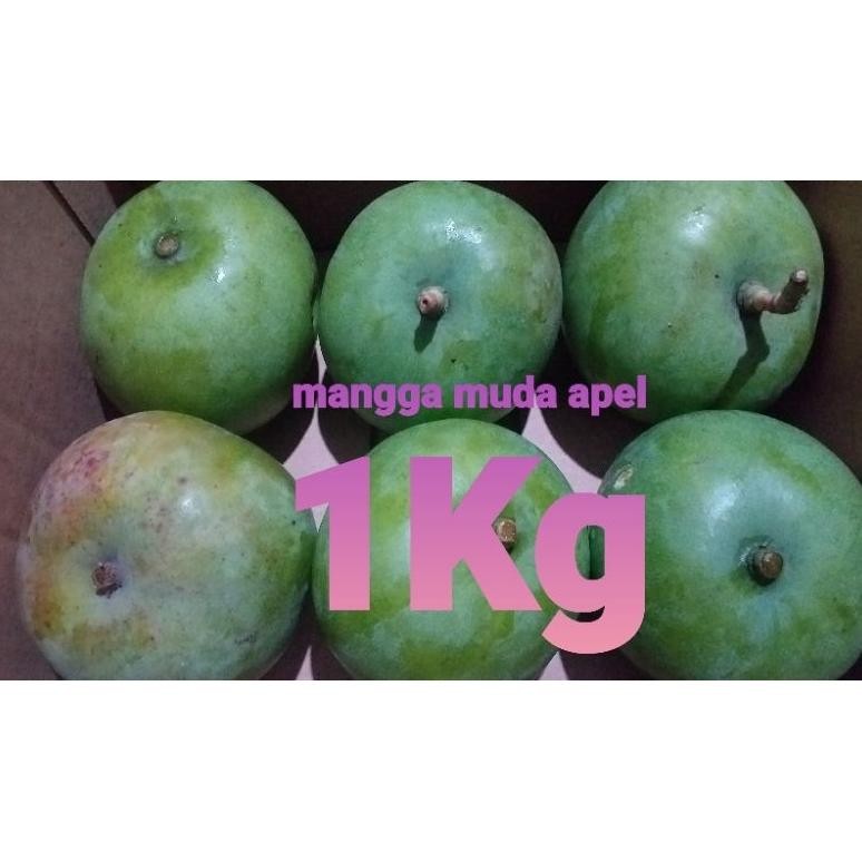 

Terlaris Mangga Apel 1 Kg/Mangga Rujak