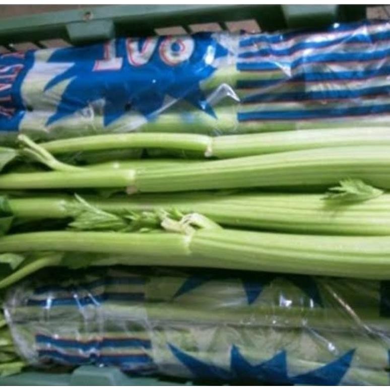

Terjangkau Saledri / Celery Stick 500Grm