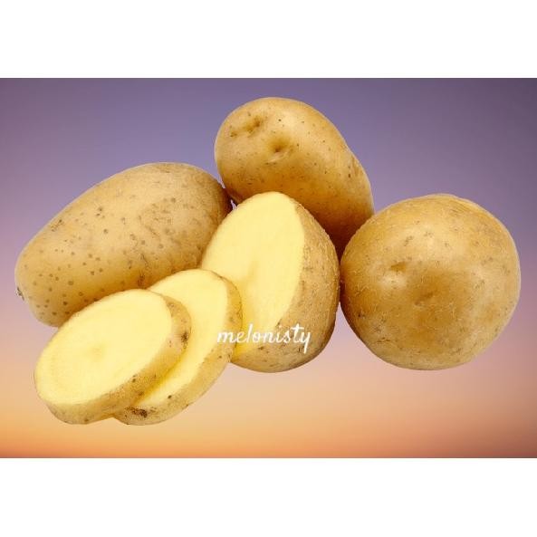 

Eksklusif ( Per 500 Gr ) Kentang Kuning Kentang Segar