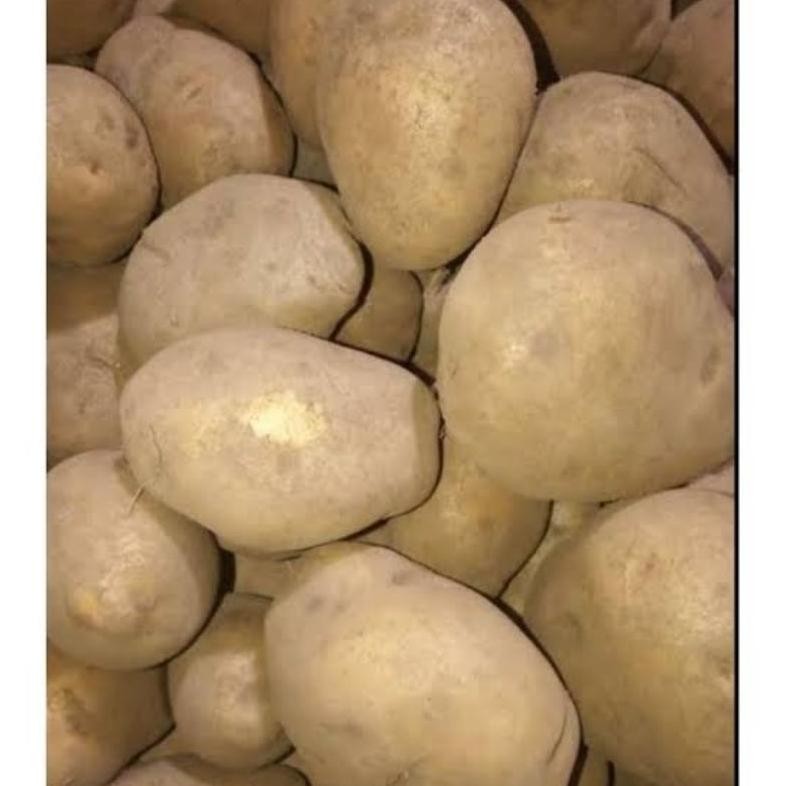 

Penuh Inovasi Kentang Dieng 500Gram Segar Kualitas Terbaik Khas Wonosobo