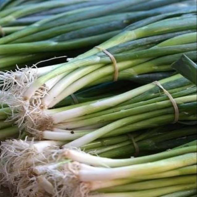 

Tersedia Sekarang Daun Bawang / Seledri