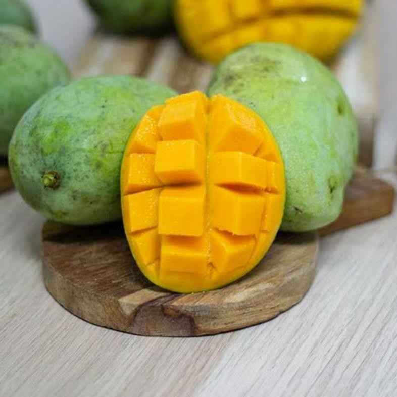 

Mudah Perawatan Mangga Indramayu 1 Kg Super
