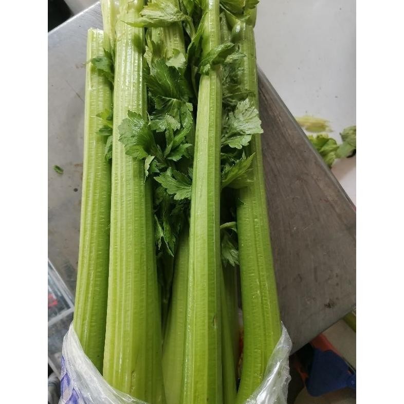 

Mampu Bersaing Celery Stick Import - Celery Stick 1Kg - Seledri Batang - Fresh Per Kg