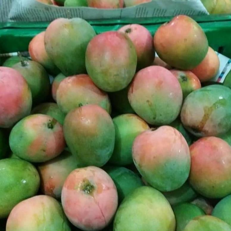 

Kualitas Tertinggi Mangga Gincu Super 1Kg (Premium) | Ud Sidomulyo Buah