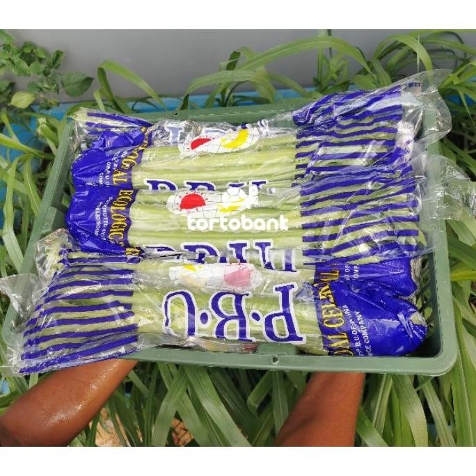 

Bahan Terbaik 1 Kg Premium Celery Import Organic / Seledri Import / Celery Stick / Seledri Fresh / Batang Seledri Import / Sayur Seledri Premium Import China