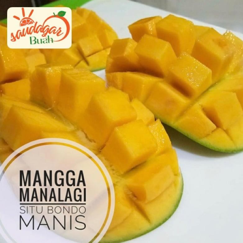 

Paket Buah Mangga Manalagi Manis Mangga Simanalagi 1Kg Murmer