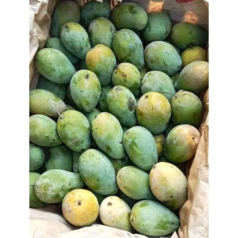 

Keuntungan Mangga Harumanis Manis Matang Mengkal 1Kg
