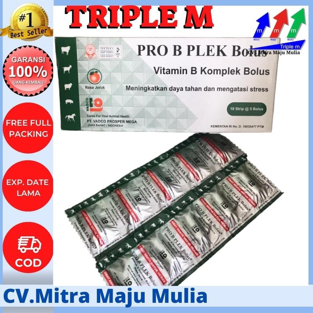 Terlaris PRO B PLEK 1 Bolus / VITAMIN B KOMPLEK Terbaru
