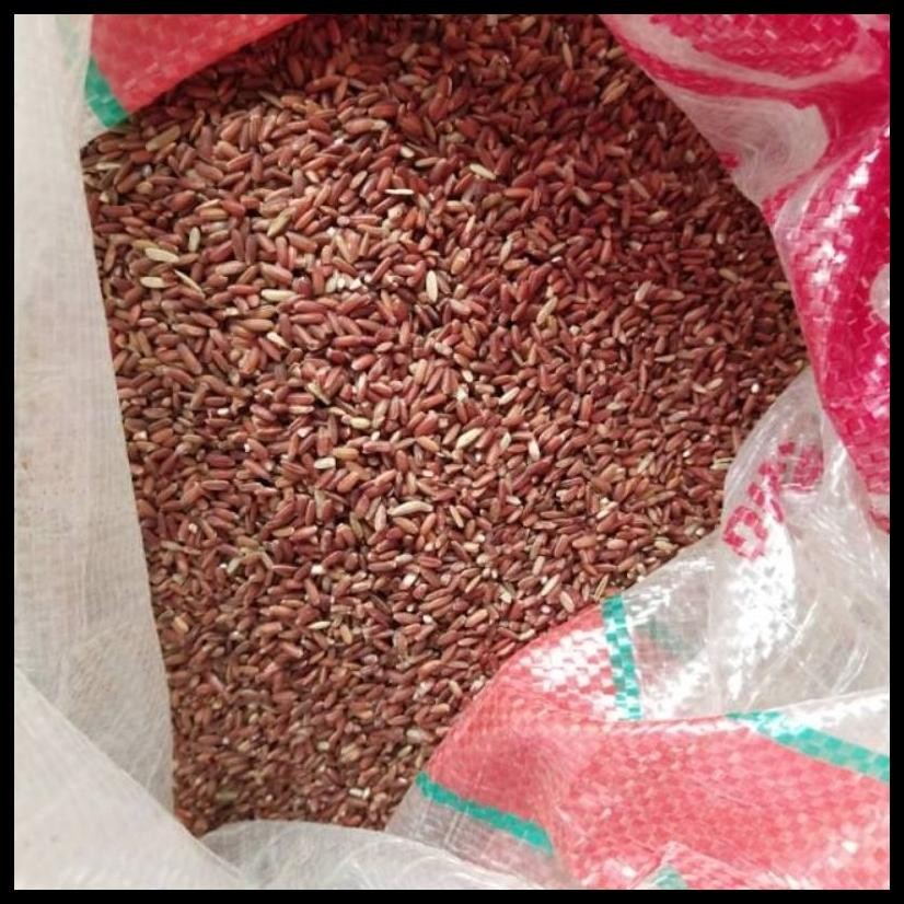 

BERAS MERAH ORGANIK PAKAN TERNAK 1KG