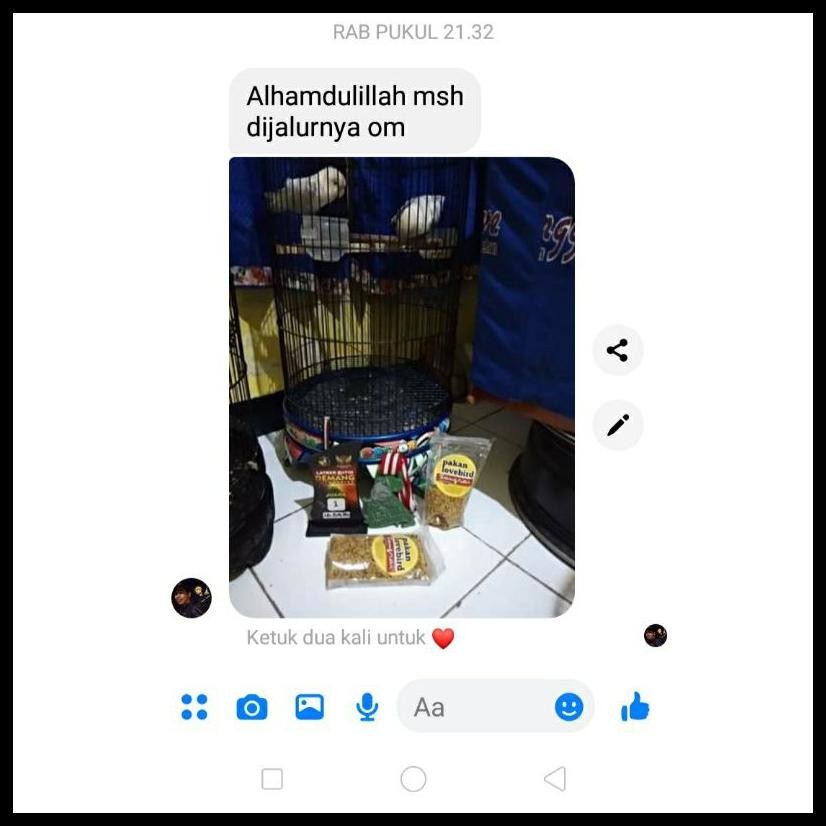 PAKAN LOVEBIRD KONSLET / PAKAN LOVEBIRD SANGRAI / PAKAN LB HARIAN-LOMBA / PAKAN LOVEBIRD GACOR