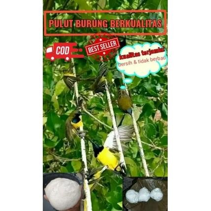 BISA COD pulut burung berkualitas 100g er-87