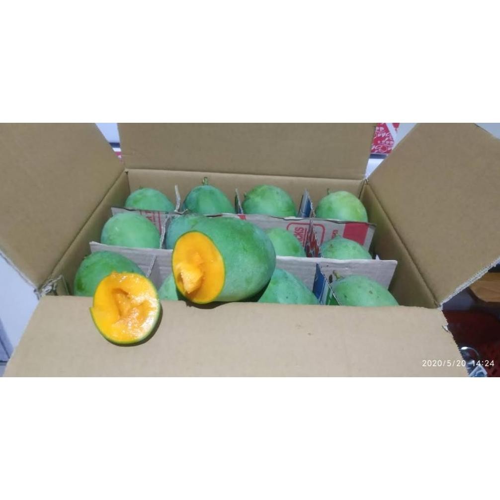 

Nikmati Mangga Gadung/Harummanis 1Kg Kondisi Tua Pohon Ketuaan 85%++ Bisa Diperam Dimatangkan